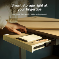 The Lune Pro Desk Drawer