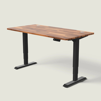 The LuneDesk Pro Standing Desk (Overstock)