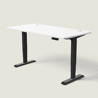 The LuneDesk Pro Standing Desk (Overstock)