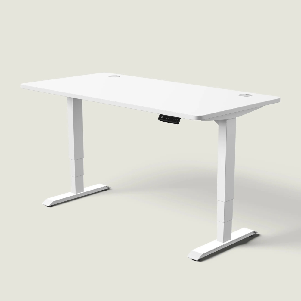 The LuneDesk Pro Standing Desk (Overstock)