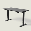 The LuneDesk Pro Standing Desk (Overstock)