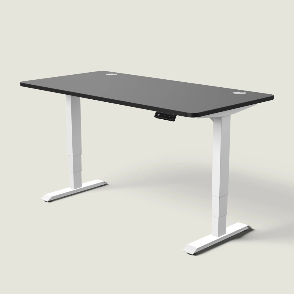 The LuneDesk Pro Standing Desk (Overstock)