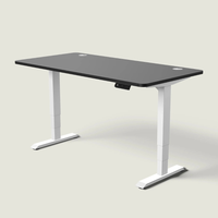 The LuneDesk Pro Standing Desk (Overstock)