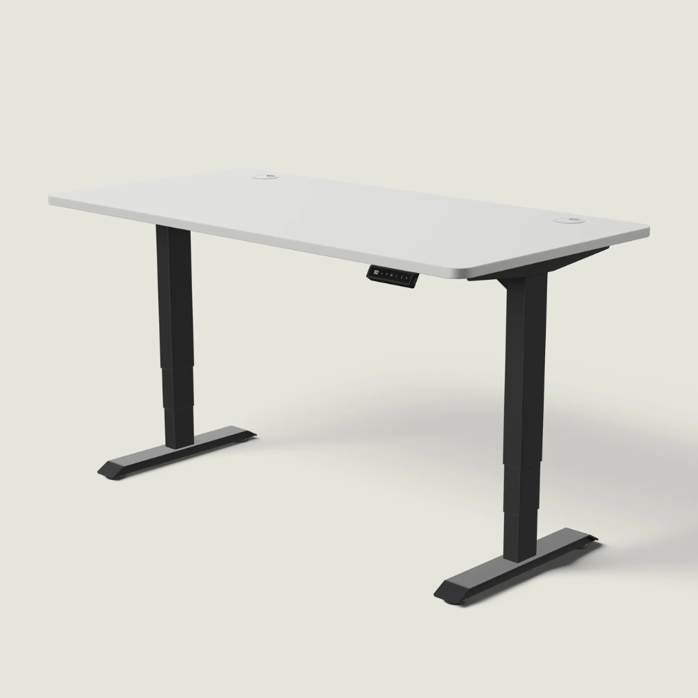 The LuneDesk Pro Standing Desk (Overstock)