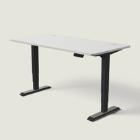 The LuneDesk Pro Standing Desk (Overstock)