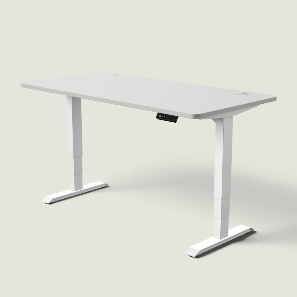 The LuneDesk Pro Standing Desk (Overstock)